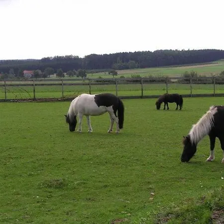 Apartamento Country House In The Odenwald